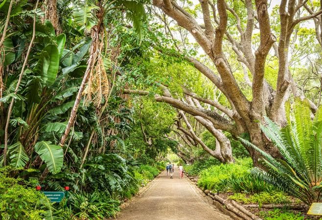 National Botanical Gardens photo 1
